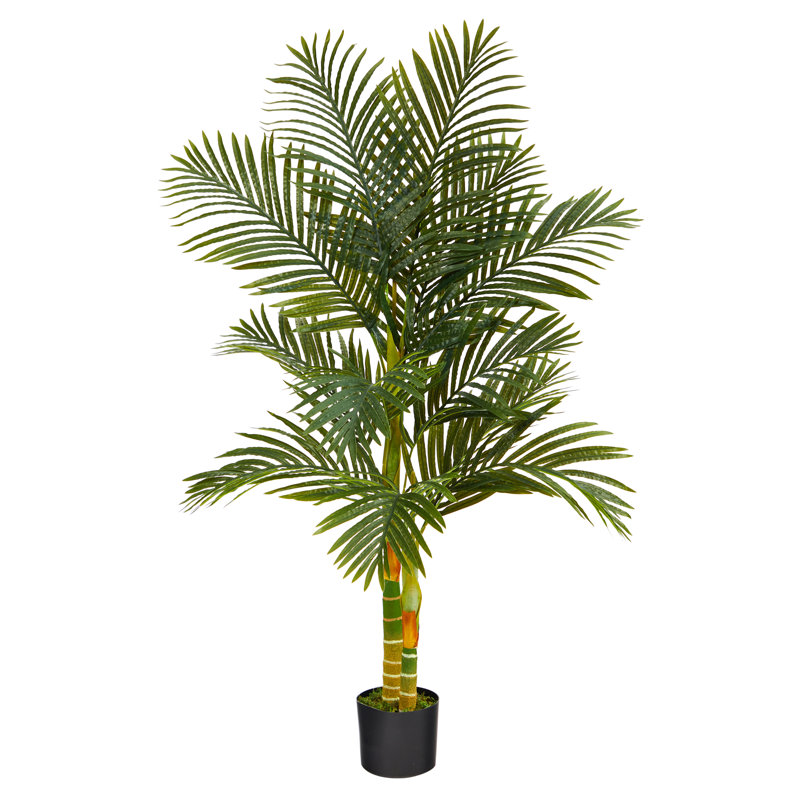 Artificial Palm Tree in Planter, 60" H x 24" W x 24" D