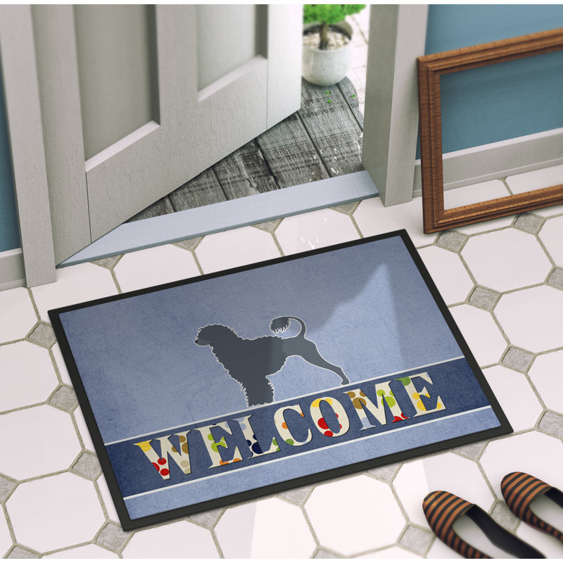Tapis d'intérieur / extérieur antidérapant, L 36 po x l 24 po