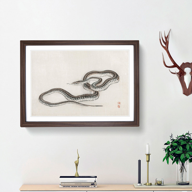 Snake by Kono Bairei - Picture Frame Painting Print, 27cm H x 36cm W x 2cm D, Walnut Framed