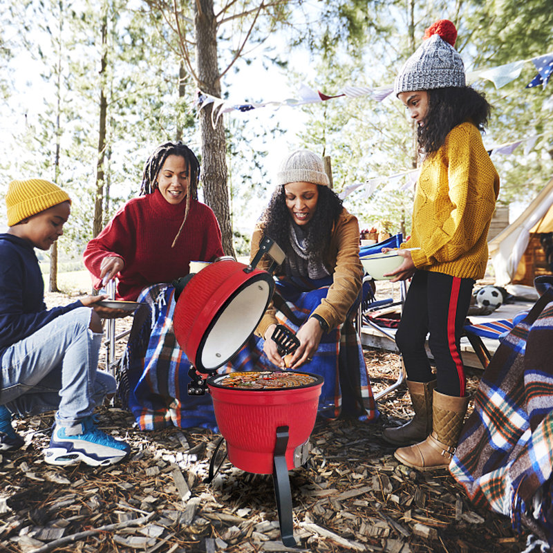 Barbecue au charbon 12,6 W Vinsunny, Rouge