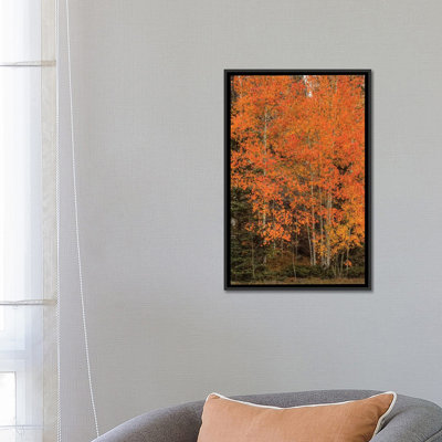 « the red-orange experience » par bill sherrell, reproduction d’impression sur toile tendue
