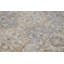 Ziegler Wool Oriental Area Rug