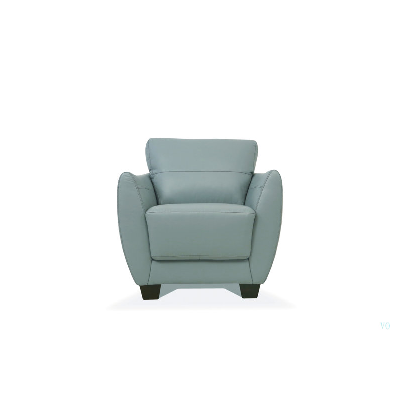 Fauteuil en cuir (assemblé)