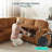 Sherry 81'' Upholstered Modular Sectionals with Pull-out Sofa, Storage Chaise, USB Charging & Cup Holders-681041591-672307533