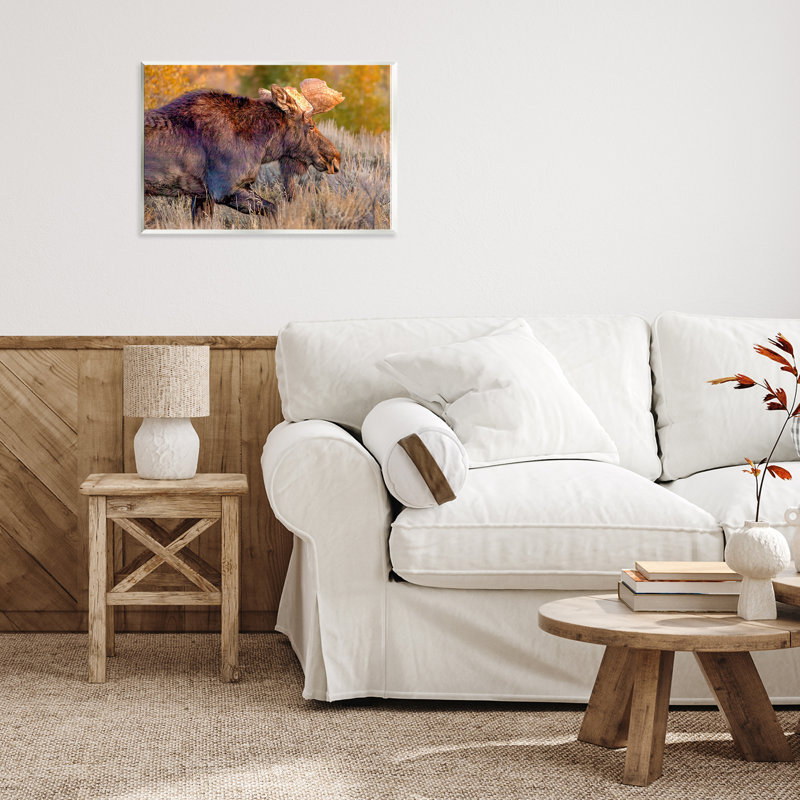 Plaque murale «Bull Moose At Dusk» par Shelley Carlisle, H 10 po x l 15 po