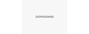 ZUOYOUDIANZI Logo