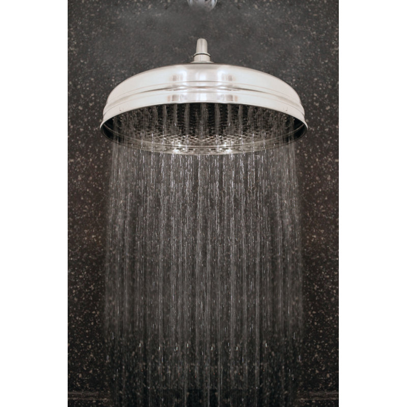 8" Rain Shower Head, Polished Chrome