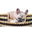 Lit pour chien Design Dua Bear - croix