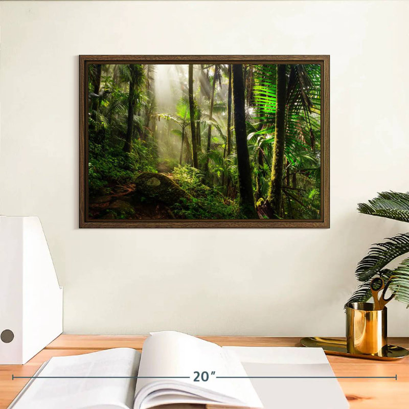 Forêt nationale d'El Yunque, 13 po x 9 po, Cadre flottant en noyer