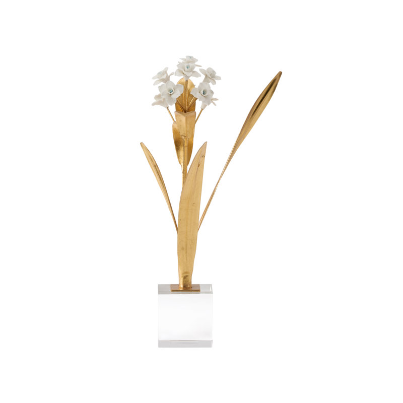 Paperwhite Narcissus