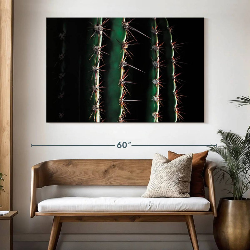 Gros plan d'un cactus épineux, H 34 po x l 51 po