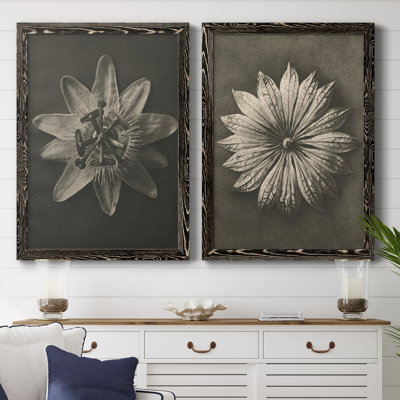Toile encadrée Blossfeldt