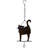 Cat Bouncy