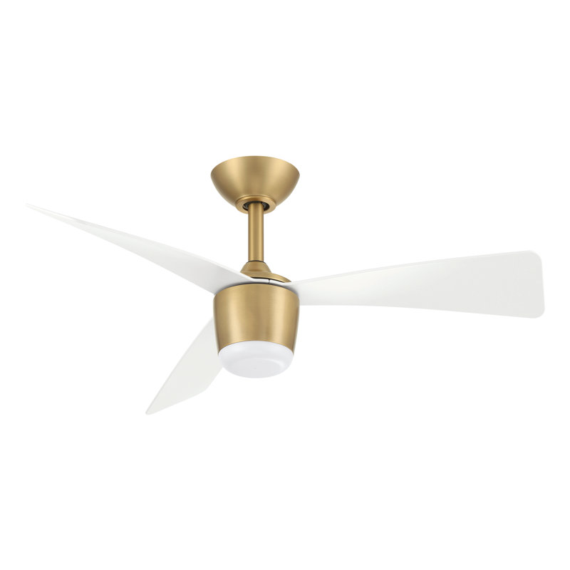 Ventilateur de plafond DEL intérieur / extérieur 36 po Elevan