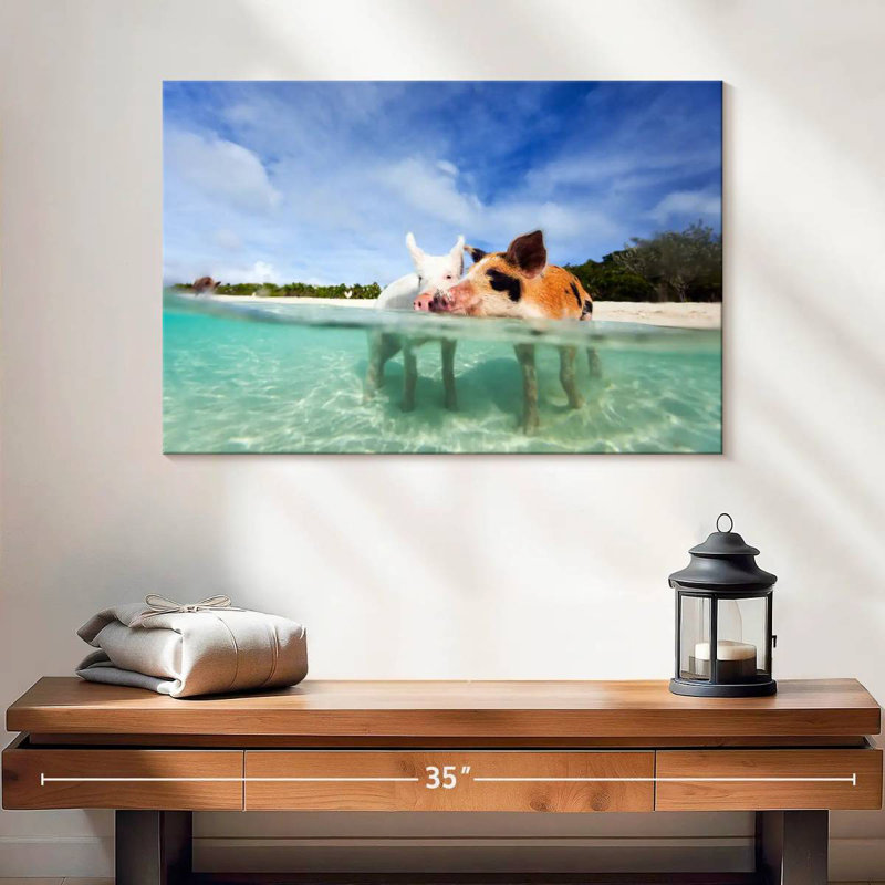 Porcs de Brampt aux Bahamas