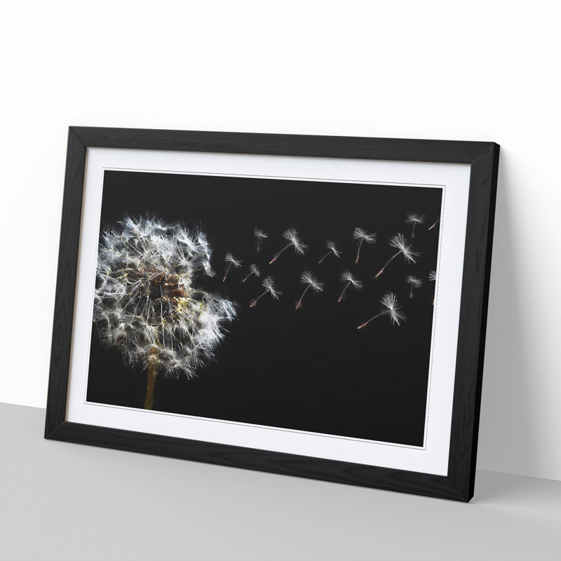 Dandelion Seeds Vol.10 - Picture Frame Graphic Art, 36cm H x 48cm W x 2cm D, Black Framed