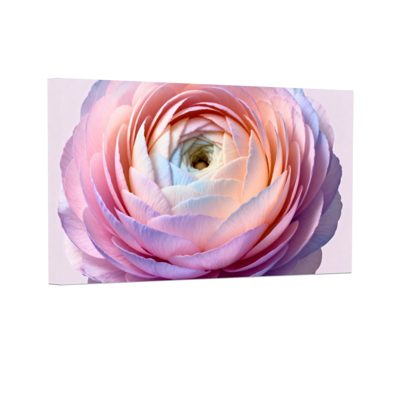 Plantes et fleurs, rose, gros plan, motif floral, H 20 po x l 30 po, Reproduction encadrée d'une seule photo sans pass, Noir