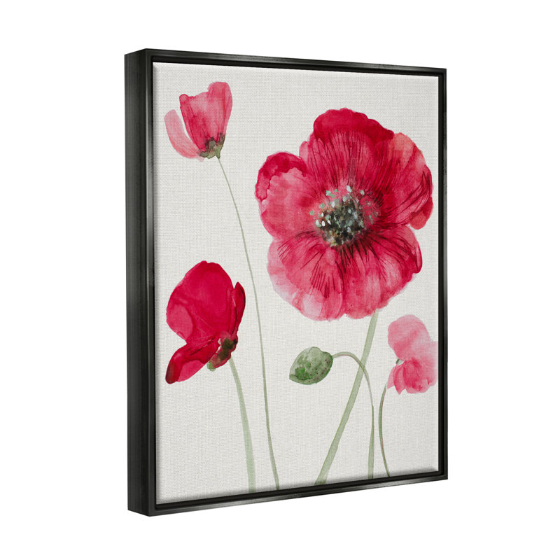 "Bold Red Poppies Blooming Floater", art mural par Lanie Loreth, Cadre flottant noir de jais, H 31 po x l 25 po x P 1,7 po