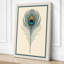 Peacock Feather Study Botanical - Wrapped Canvas-1605009230-1605009228