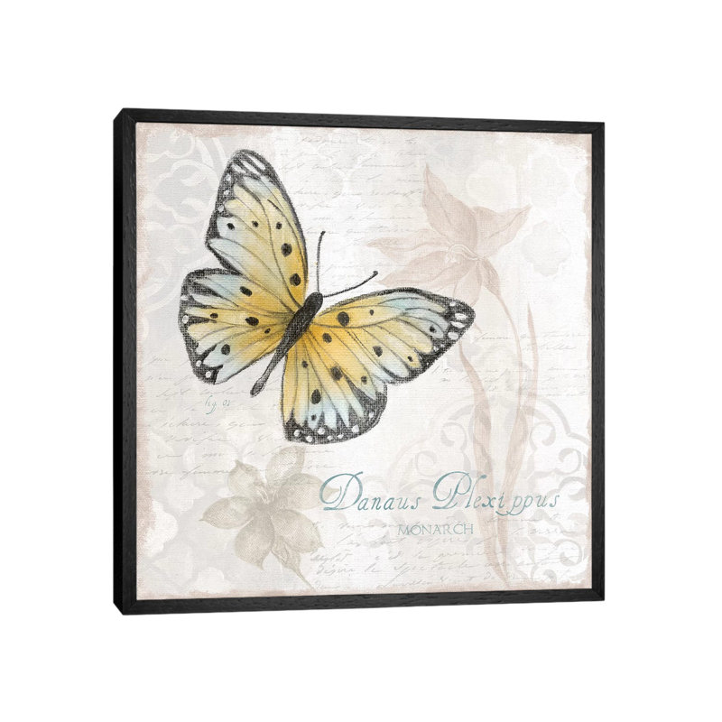 Postcard Butterfly I by Tava Studios - Floater Frame Gallery-Wrapped Canvas Giclée on Canvas, 45.72 cm H x 45.72 cm W, Black