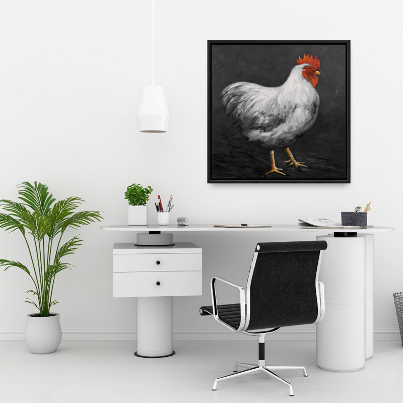 "Coq gris 2"