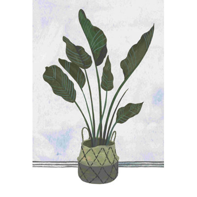 Mes plantes III