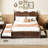Queen Size Bed With Drawers And Twin Xl Trundle, Walnut Superior Platform Practical Storage Pull-Out,-689389470