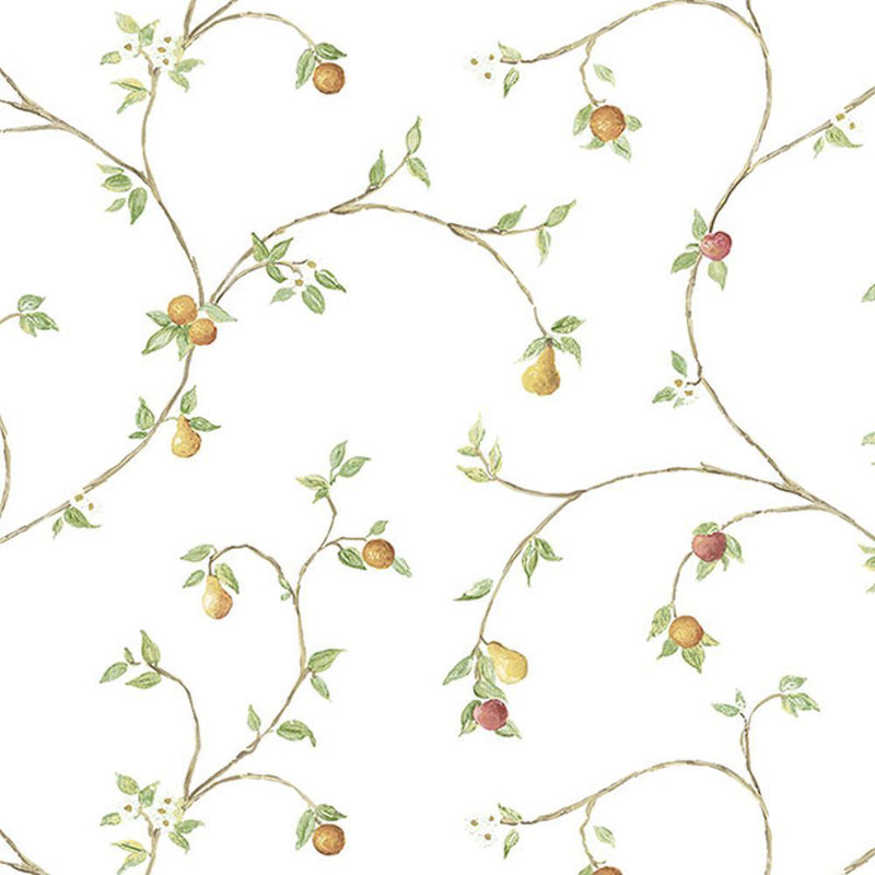 Rouleau de papier peint L 33 pi x l 21 po, Blanc / vert / orange