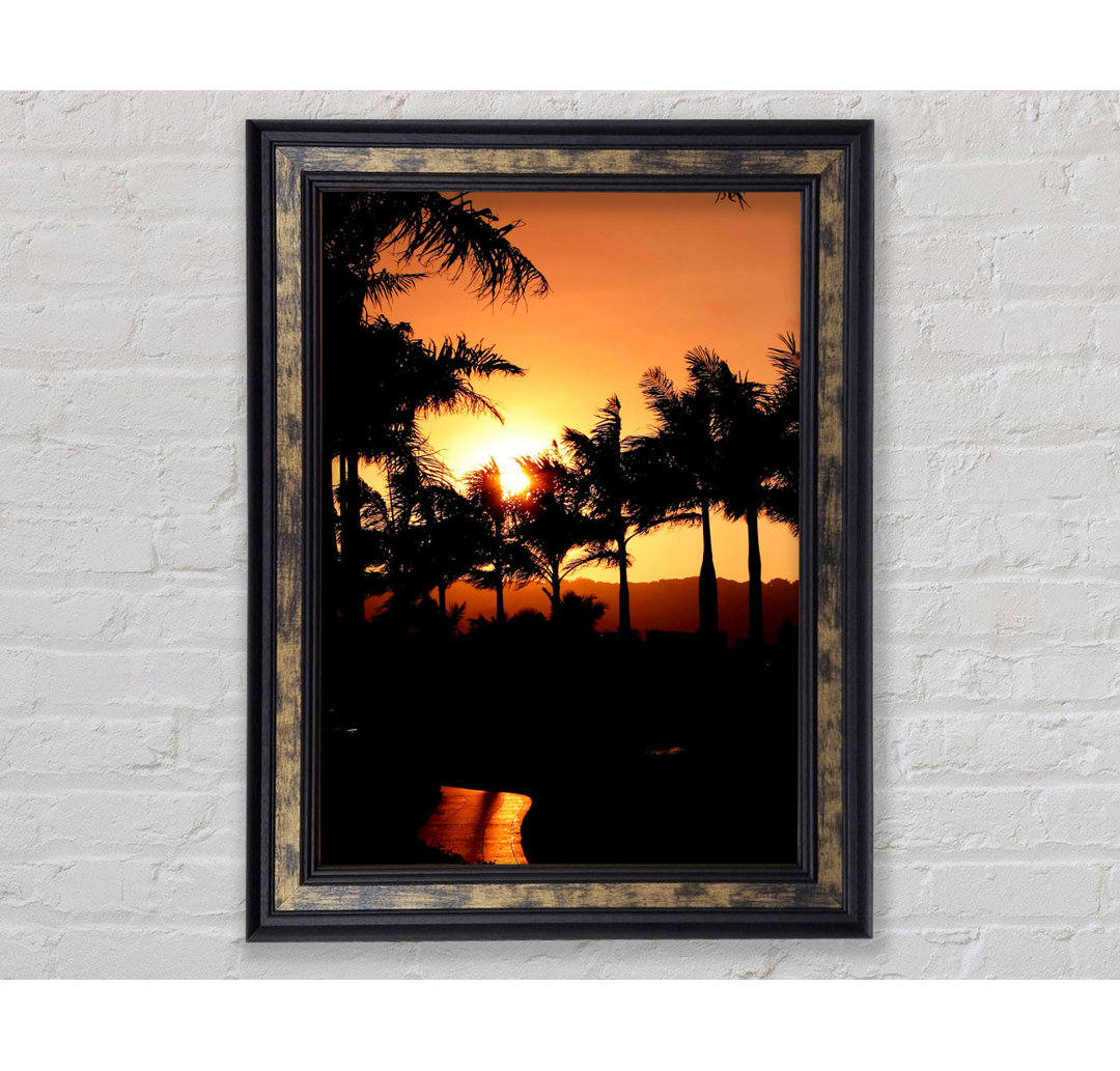 Orange Palm Tree Sun Glow - Einzelner Bilderrahmen Kunstdrucke