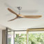 Ventilateur de plafond standard à 3 pales de 60 po avec télécommande Nicola