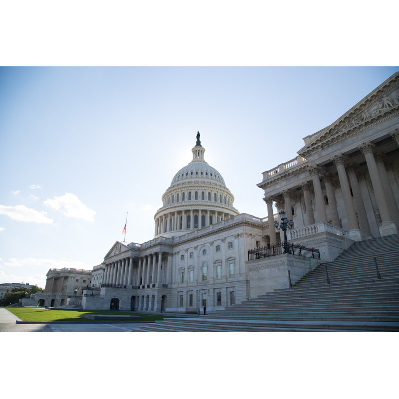 " U.S. Capitol Building - Rear ", 26" H x 50" W x 1.5" D