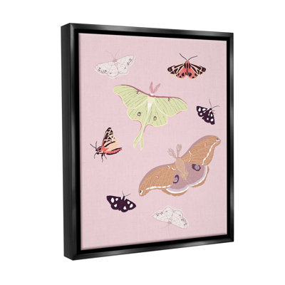 "Varied Moth" sur toile