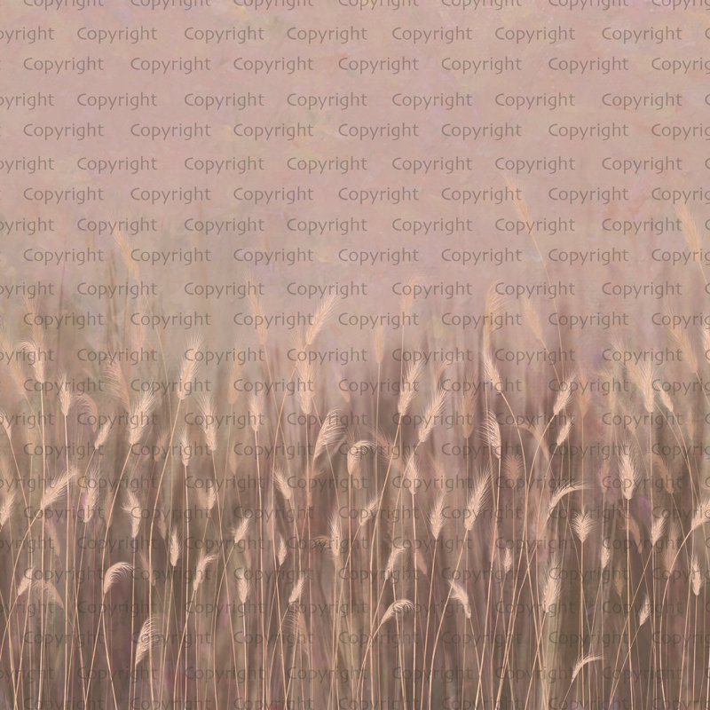 Papier peint Serene Reed Grass, L 117,96 po x l 225 po, Rose