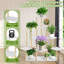 Plant Stand - Set of 6