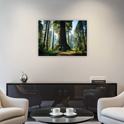 «Green Redwood Giants Forest Tree», art mural de qualité supérieure pour le salon, 24 x 32 po