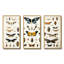 Insectes et insectes jaunes et bleus - Insectes et insectes-1840758101-1840758107