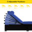 Méridienne Malus