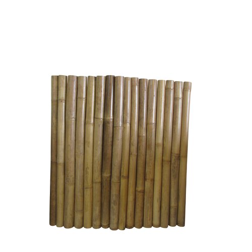 MGP Tan Bamboo/Reed Fencing & Reviews - Wayfair Canada