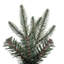 Bixley 5.5' H Artificial Fir Christmas Tree