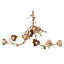 Chelsea Chandelier