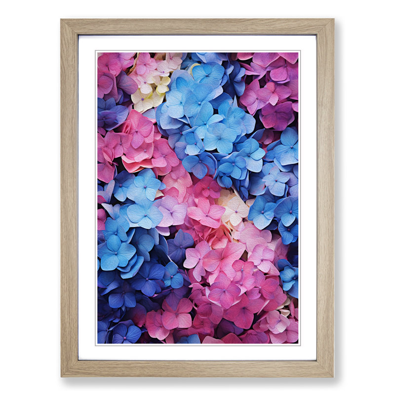 Hydrangea Colour Field - Single Picture Frame Print on Wood, 64cm H x 46cm W x 2cm D, Oak Framed