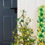 36"H Lightd St. Patrick's Shamrock Urn Porch Tree，W/Timer