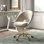 Doreen Velvet Modern Task Chair with Ergonomic Design