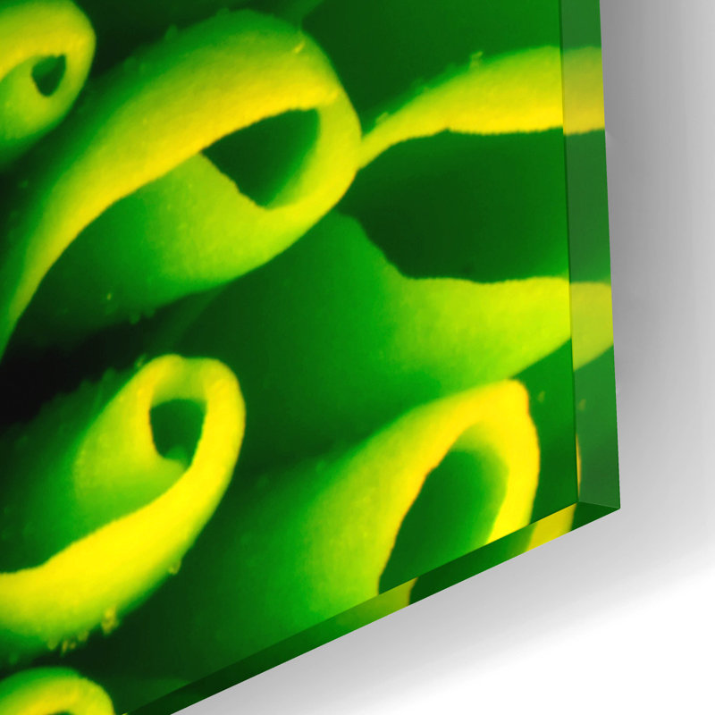 «Green Design 1» par PhotoINC Studio, H 12 po x l 16 po