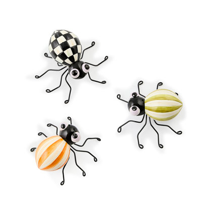 Fergal's Friend Spiders