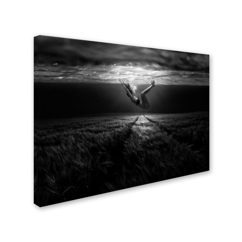 « underwaterlandream », reproduction de photo sur toile tendue, H 19 po x l 19 po