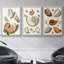 Collection Shells I - Ensemble de 3 cadres flottants sur toile-97754092-97754095