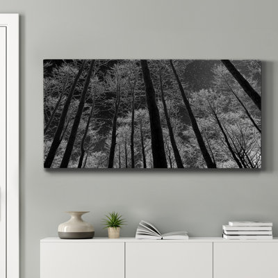 Ciel nocturne - reproduction sur toile tendue
