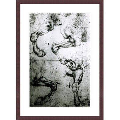 Studies of Horses legs by Leonardo da Vinci -Framed Giclee Print