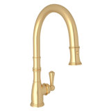Georgian Era™ Pull Down Single Handle Kitchen Faucet
